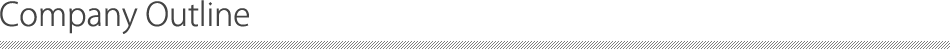 Company Outline